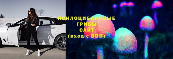 мдма Белокуриха