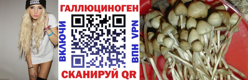 Псилоцибиновые грибы мицелий  Электросталь 